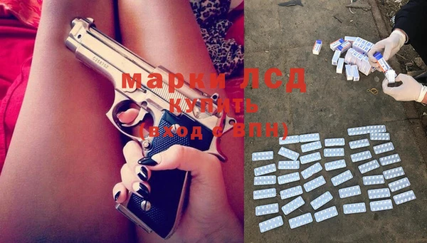 гашик Каменка