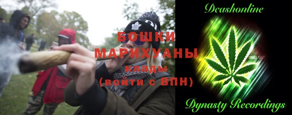 гашик Каменка