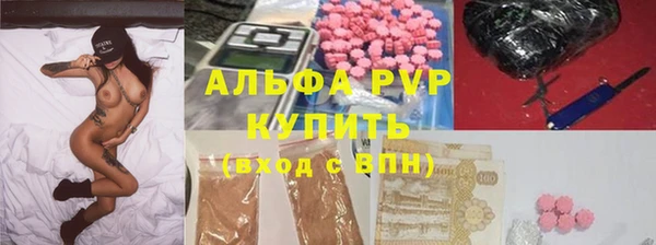гашик Каменка