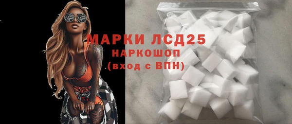 гашик Каменка