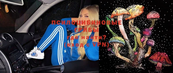 гашик Каменка