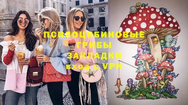 гашик Каменка