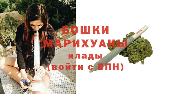 гашик Каменка