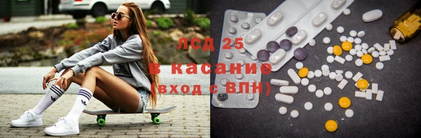 гашик Каменка
