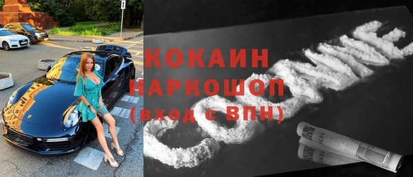 гашик Каменка