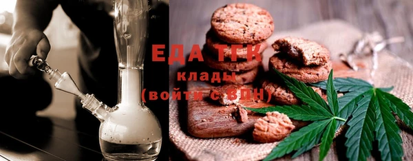 гашик Каменка