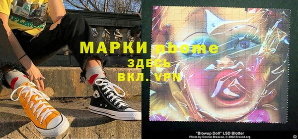 гашик Каменка