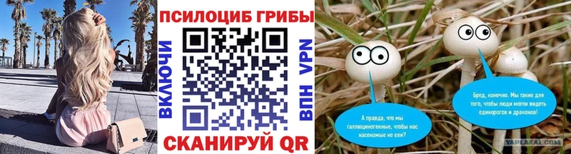Купить  Егорьевск  Псилоцибиновые грибы MAGIC MUSHROOMS 